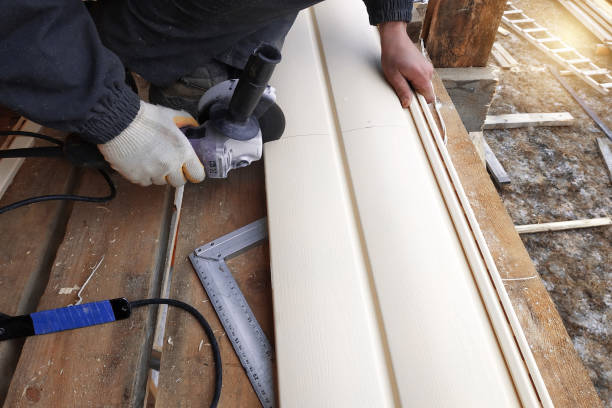 Best Siding for New Construction  in Elkins Rk, PA