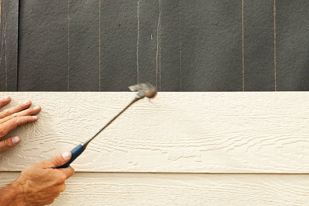 Best Stucco Siding  in Elkins Rk, PA